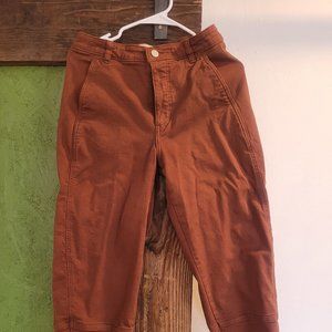 Everlane Utility Barrel Pant